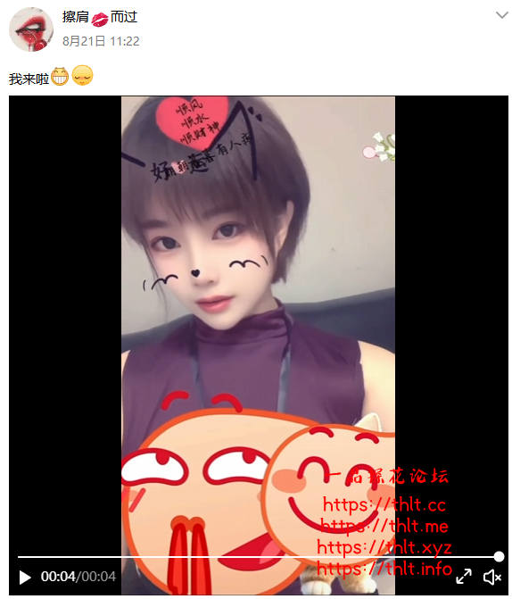 12222.png